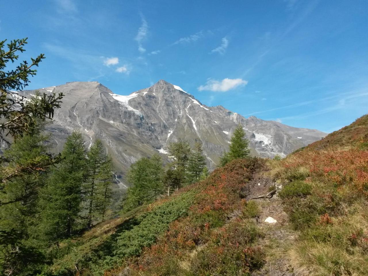 Apart-Pension Oberreiter Fusch an der Grossglocknerstrasse Luaran gambar